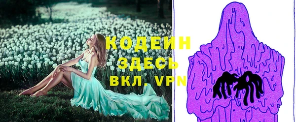 прущие грибы Кулебаки