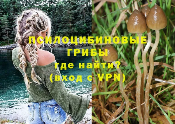 прущая мука Фёдоровский