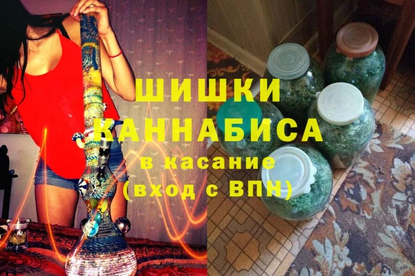 прущие грибы Кулебаки
