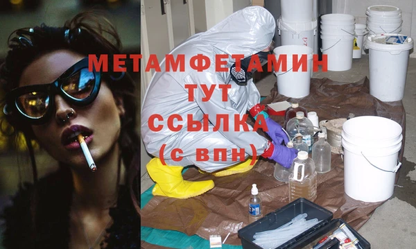 прущие грибы Кулебаки