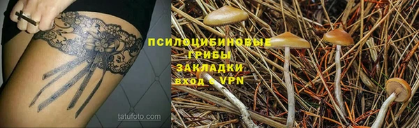 шишки Калининец