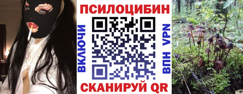 Галлюциногенные грибы мицелий  Купить где  Магас 